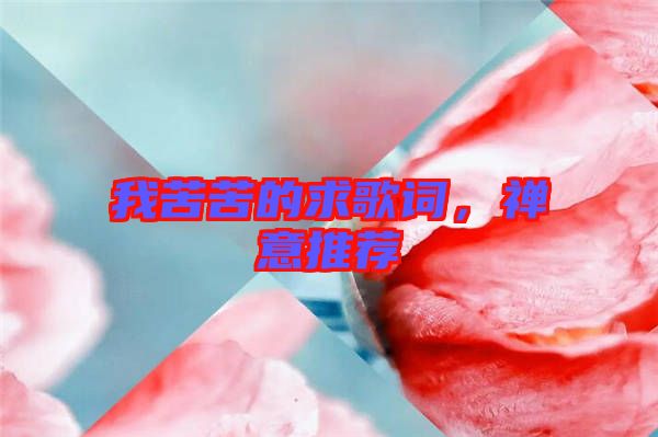 我苦苦的求歌詞，禪意推薦