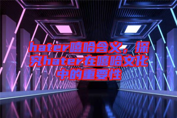 hater嘻哈含義，探究hater在嘻哈文化中的重要性