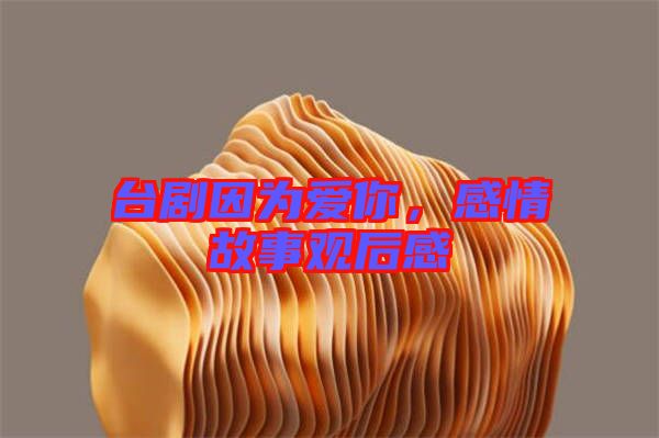 臺(tái)劇因?yàn)閻?ài)你，感情故事觀后感