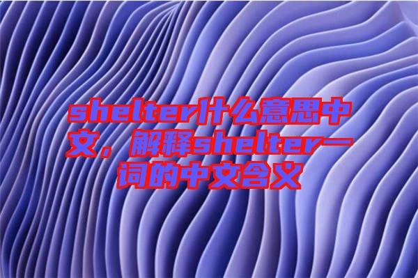 shelter什么意思中文，解釋shelter一詞的中文含義
