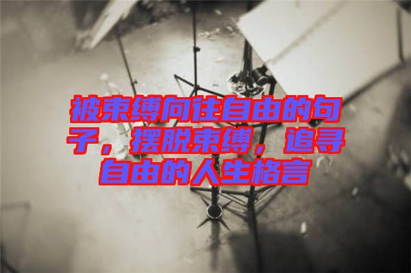被束縛向往自由的句子，擺脫束縛，追尋自由的人生格言