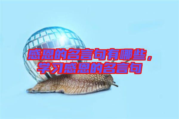 感恩的名言句有哪些，學(xué)習(xí)感恩的名言句