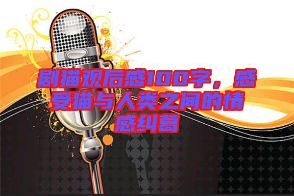 劇貓觀后感100字，感受貓與人類之間的情感糾葛