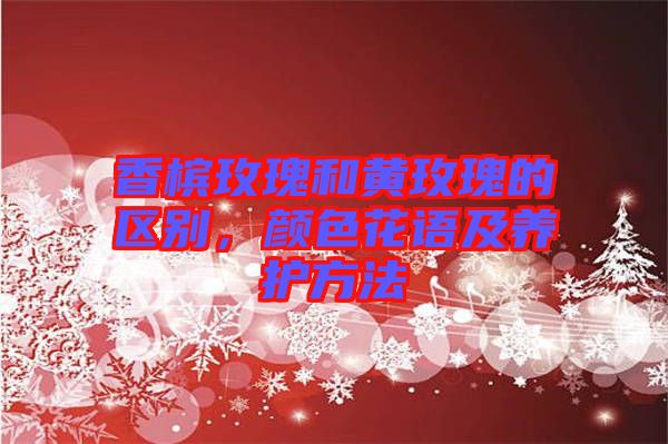 香檳玫瑰和黃玫瑰的區(qū)別，顏色花語及養(yǎng)護方法