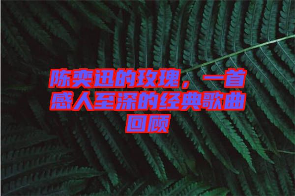 陳奕迅的玫瑰，一首感人至深的經(jīng)典歌曲回顧