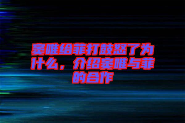 竇唯給菲打鼓怒了為什么，介紹竇唯與菲的合作