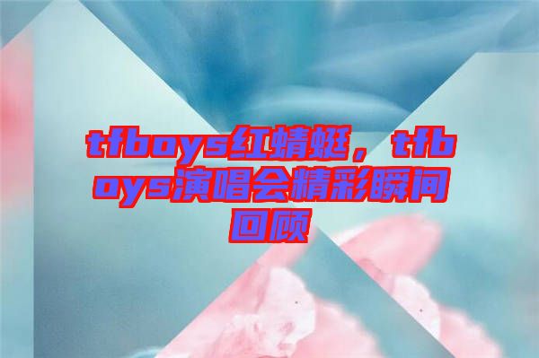 tfboys紅蜻蜓，tfboys演唱會(huì)精彩瞬間回顧