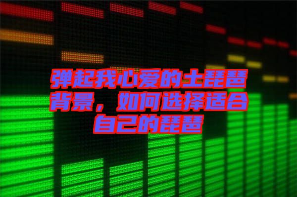 彈起我心愛的土琵琶背景，如何選擇適合自己的琵琶