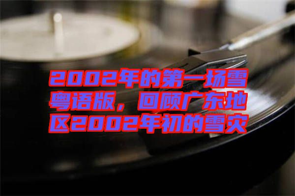 2002年的第一場雪粵語版，回顧廣東地區(qū)2002年初的雪災(zāi)