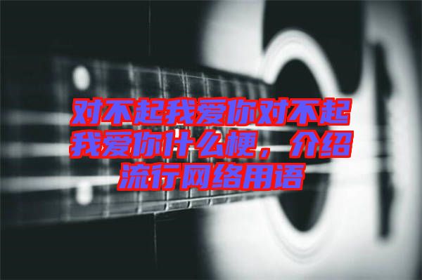 對(duì)不起我愛(ài)你對(duì)不起我愛(ài)你什么梗，介紹流行網(wǎng)絡(luò)用語(yǔ)