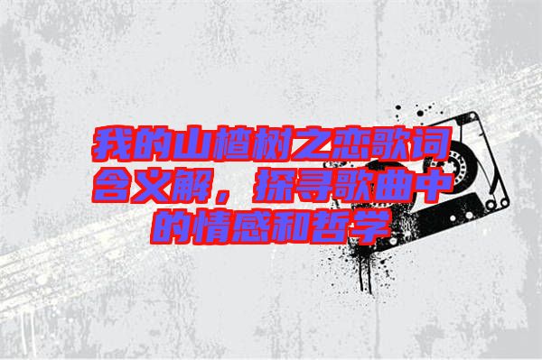 我的山楂樹之戀歌詞含義解，探尋歌曲中的情感和哲學(xué)