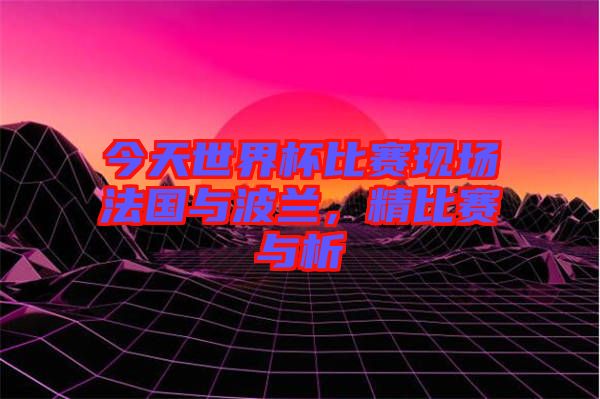 今天世界杯比賽現(xiàn)場(chǎng)法國(guó)與波蘭，精比賽與析