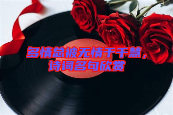 多情總被無情于千慧，詩詞名句欣賞