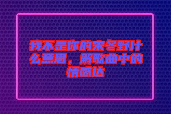 我不是你的宋冬野什么意思，解歌曲中的情感達
