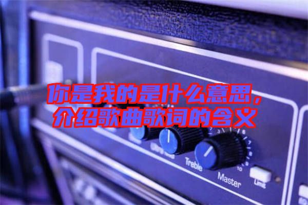 你是我的是什么意思，介紹歌曲歌詞的含義