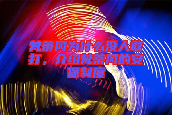 梵蒂岡為什么沒人敢打，介紹梵蒂岡的安保制度