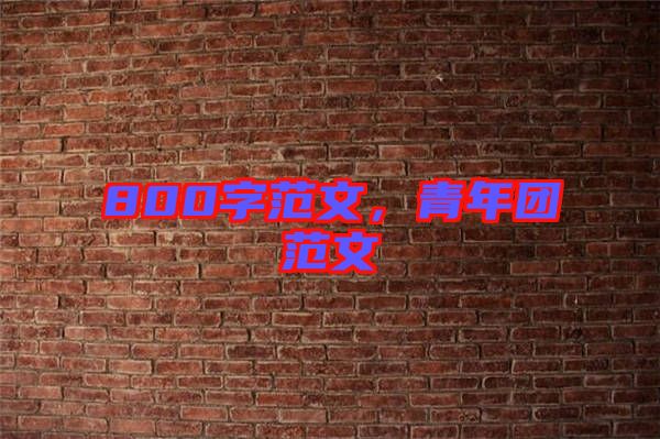 800字范文，青年團(tuán)范文