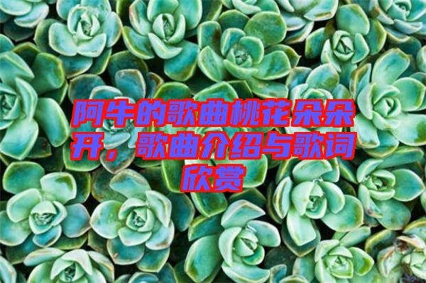 阿牛的歌曲桃花朵朵開，歌曲介紹與歌詞欣賞