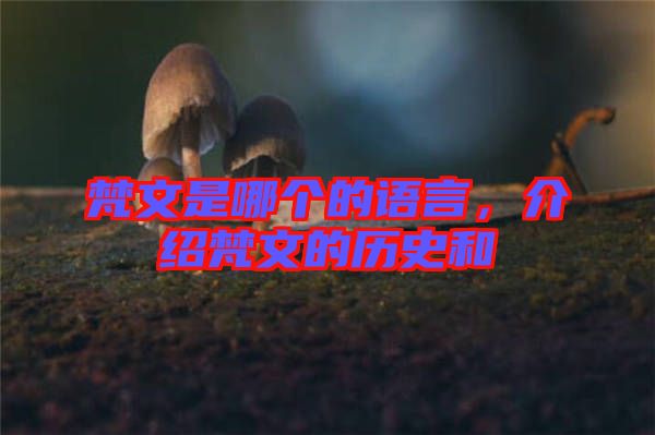 梵文是哪個(gè)的語言，介紹梵文的歷史和