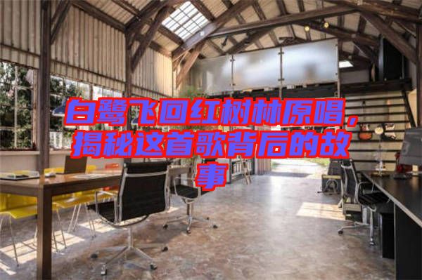 白鷺飛回紅樹林原唱，揭秘這首歌背后的故事