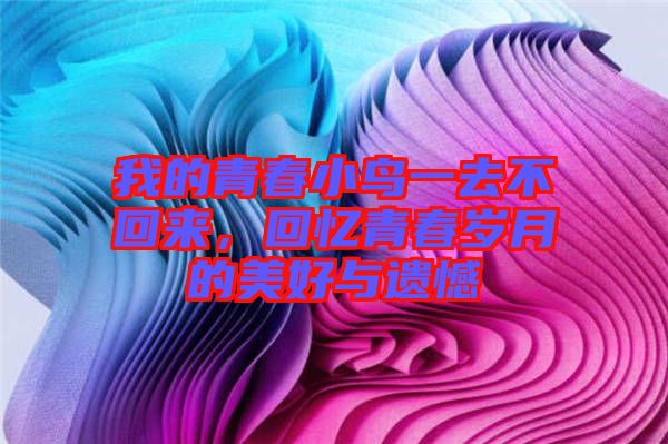 我的青春小鳥一去不回來，回憶青春歲月的美好與遺憾