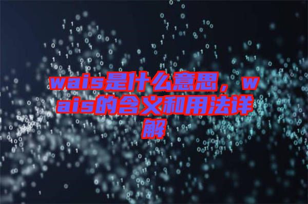 wais是什么意思，wais的含義和用法詳解