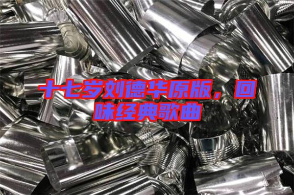 十七歲劉德華原版，回味經典歌曲