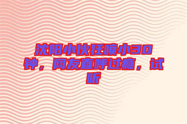 沈陽小伙狂噴小30鐘，網友直呼過癮，試聽