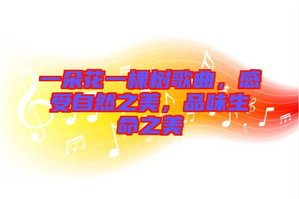 一朵花一棵樹歌曲，感受自然之美，品味生命之美