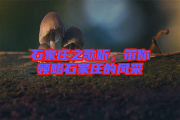 石家莊之歌聽，帶你領略石家莊的風采