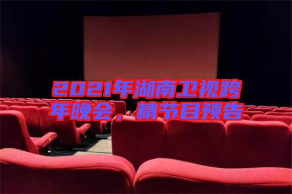 2021年湖南衛(wèi)視跨年晚會，精節(jié)目預告