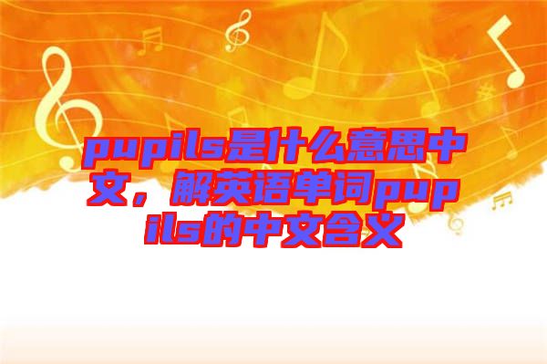 pupils是什么意思中文，解英語單詞pupils的中文含義