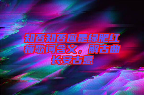 知否知否應(yīng)是綠肥紅瘦歌詞含義，解古曲長安古意