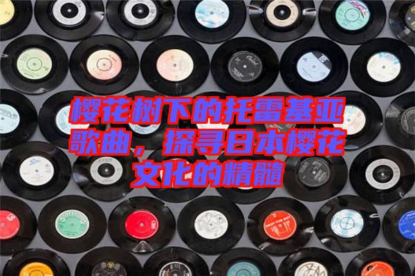 櫻花樹下的托雷基亞歌曲，探尋日本櫻花文化的精髓