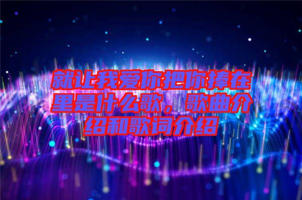 就讓我愛你把你捧在里是什么歌，歌曲介紹和歌詞介紹
