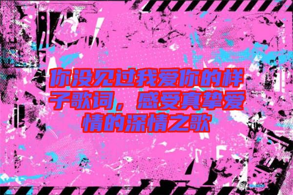 你沒(méi)見(jiàn)過(guò)我愛(ài)你的樣子歌詞，感受真摯愛(ài)情的深情之歌
