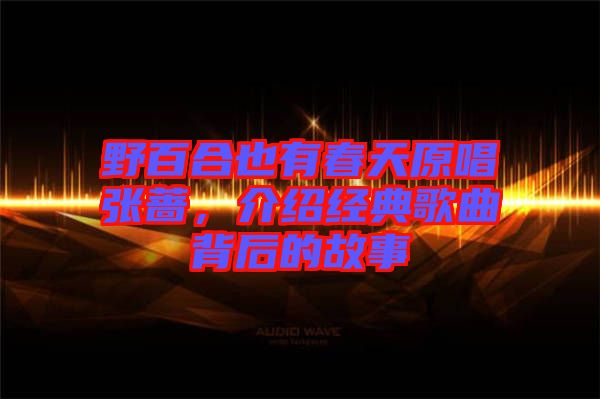 野百合也有春天原唱張薔，介紹經(jīng)典歌曲背后的故事