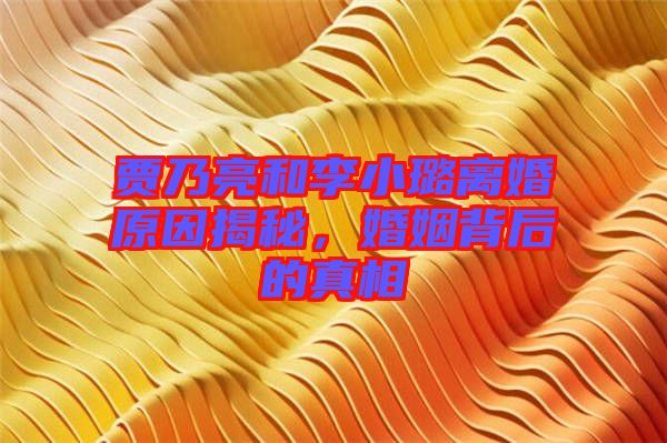 賈乃亮和李小璐離婚原因揭秘，婚姻背后的真相