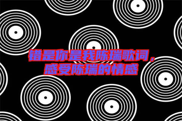 錯是你是我陳瑞歌詞，感受陳瑞的情感