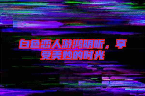 白色戀人游鴻明聽，享受美妙的時光