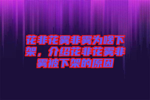 花非花霧非霧為啥下架，介紹花非花霧非霧被下架的原因