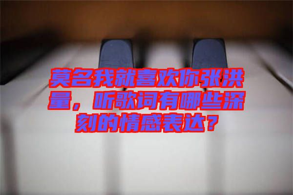 莫名我就喜歡你張洪量，聽歌詞有哪些深刻的情感表達？