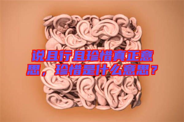 說且行且珍惜真正意思，珍惜是什么意思？