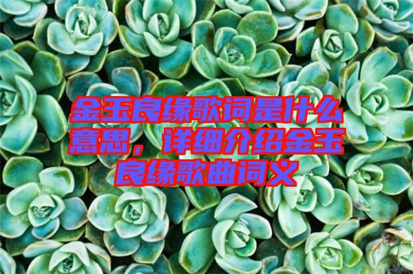 金玉良緣歌詞是什么意思，詳細(xì)介紹金玉良緣歌曲詞義