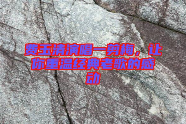 費(fèi)玉清演唱一剪梅，讓你重溫經(jīng)典老歌的感動