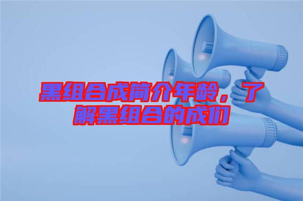 黑組合成簡介年齡，了解黑組合的成們