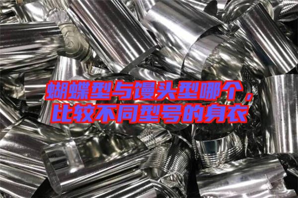 蝴蝶型與饅頭型哪個，比較不同型號的身衣