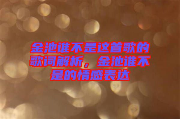 金池誰不是這首歌的歌詞解析，金池誰不是的情感表達