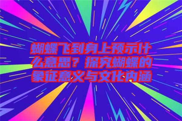 蝴蝶飛到身上預(yù)示什么意思？探究蝴蝶的象征意義與文化內(nèi)涵