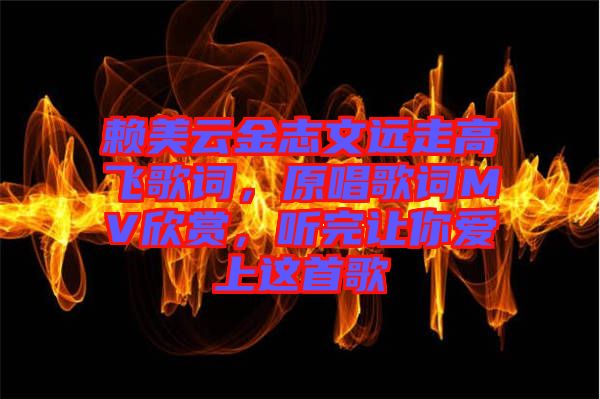 賴美云金志文遠(yuǎn)走高飛歌詞，原唱歌詞MV欣賞，聽完讓你愛上這首歌